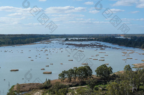 穆雷河回来水域nildottie前悬崖默里兰兹地区南澳大利亚