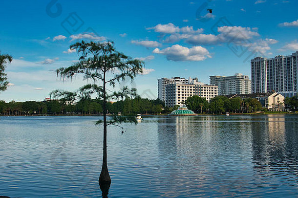 奥兰多佛罗里达的观点湖eola公园中间城市