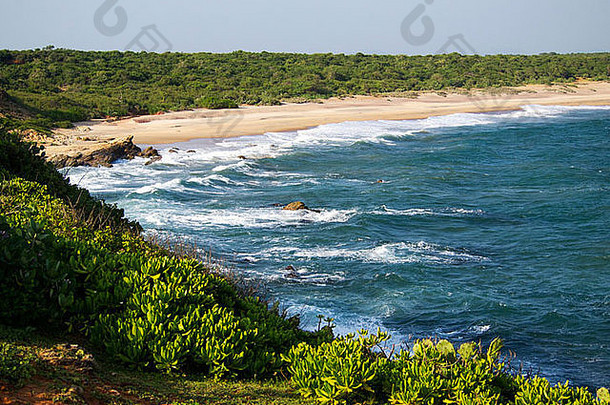 美丽的景观海岸斯里兰卡斯里兰卡