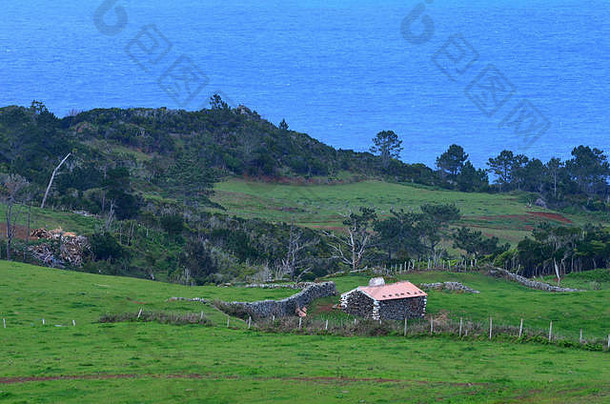 传统的房子农村风景圣人获奖小教区岛圣诞老人玛丽亚速尔群岛