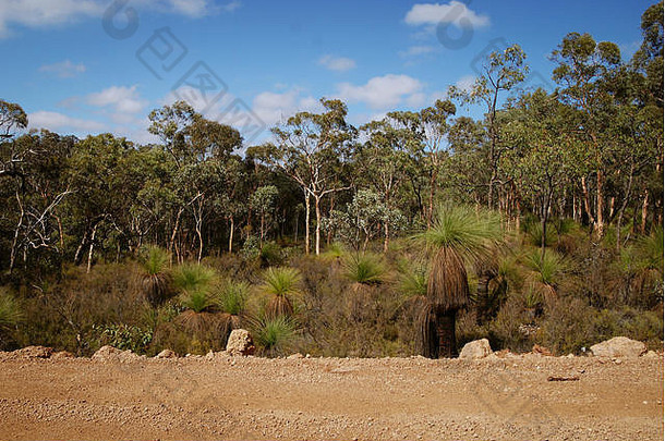 澳大利亚风景道路荒野梅多斯运输风景