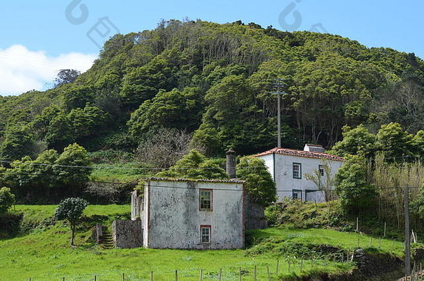 传统的房子农村风景圣人获奖小教区岛圣诞老人玛丽亚速尔群岛