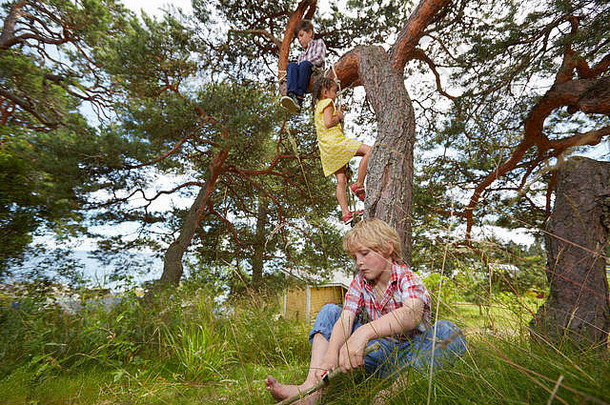 年轻的男孩坐着树年轻的女孩攀爬绳子梯树男孩坐着草
