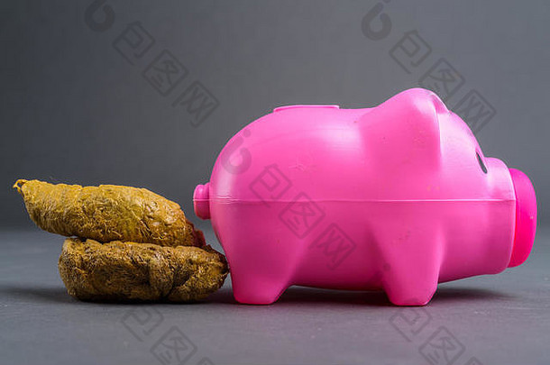 一边视图小猪银行通便动物粪便