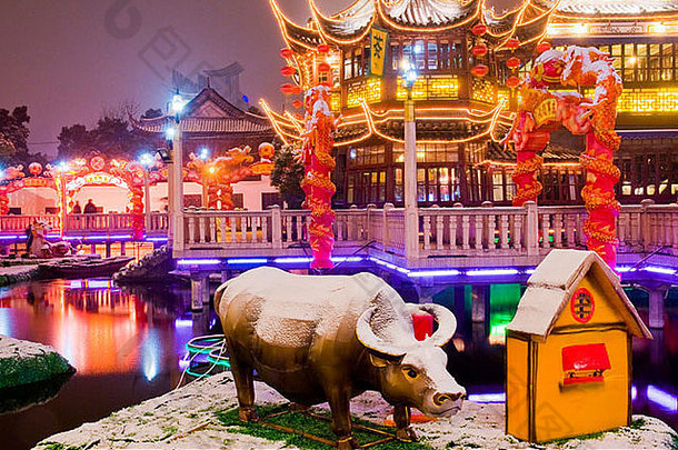 中国人一年装饰上海晚上