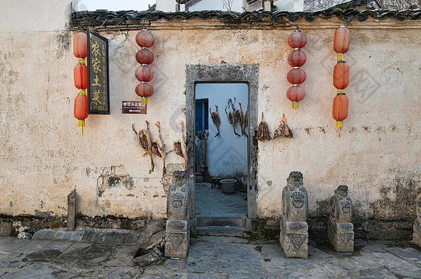 鸭子干燥古老的村xidi安徽中国