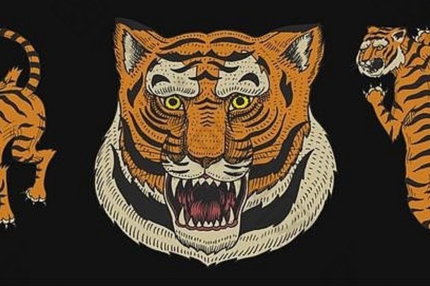 亚洲老虎古董日本风格标志脸关闭野生动物猫捕食者丛林手画刻单色草图纹身t恤网络网站
