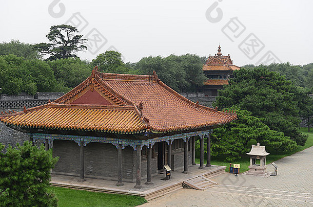 中国人古老的建筑树