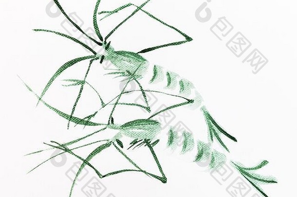一对绿色虾手绘水彩白色帆布澄江水波谷风格