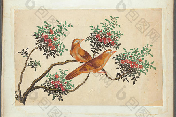 古董东方鸟插图设计