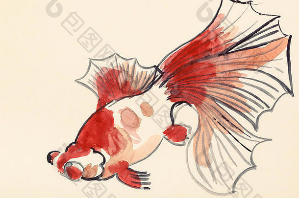 培训画水波谷风格水彩油漆红色的金鱼象牙彩色的纸