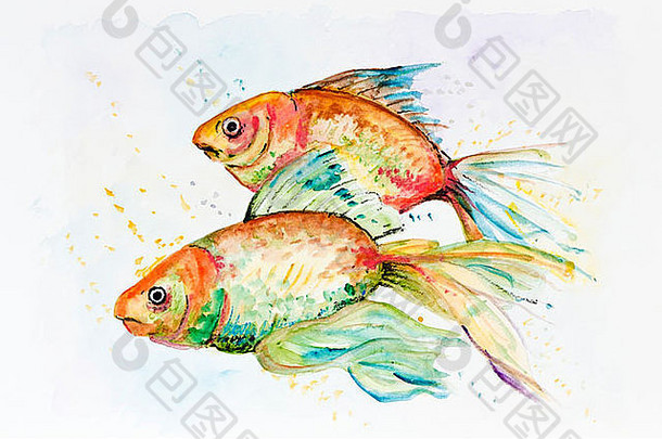 伤心金鱼游泳水族馆手工制作的水彩绘画插图白色纸艺术背景