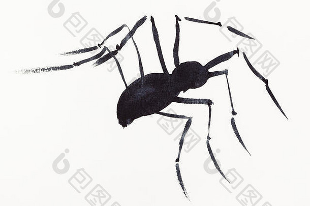 手绘画澄江风格奶油纸蜘蛛画黑色的水彩画