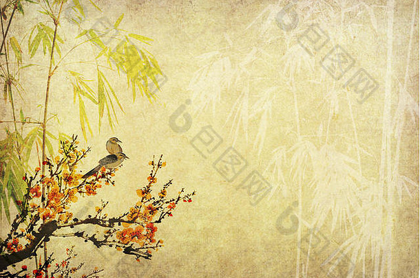 中国人绘画花李子开花