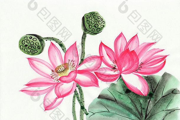 莲花水彩绘画原始艺术亚洲风格