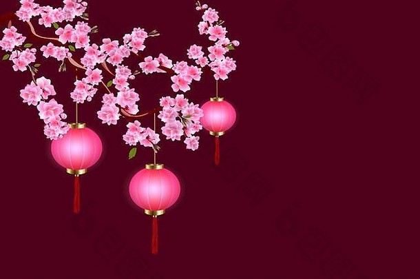 中国人一年樱花紫色的灯笼樱桃花味蕾叶子分支黑暗背景插图