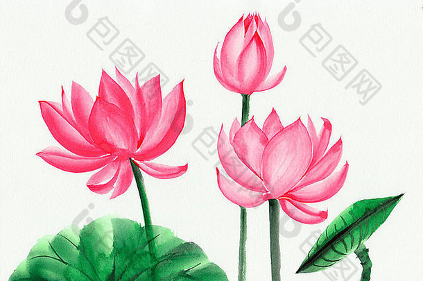 原始艺术水彩绘画粉红色的莲花亚洲风格绘画