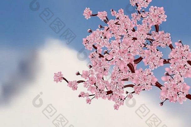 日本樱桃树樱花分支粉红色的花背景山插图