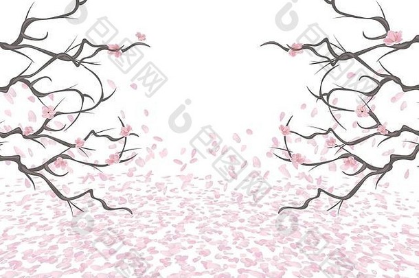 只分支机构粉红色的樱桃国图片<strong>樱花</strong>花瓣飞风谎言地面孤立的白色背景插图