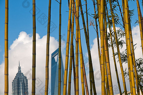 上海浦东视图浦西履行。阳光明媚的一天白色云蓝色的天空竹子树