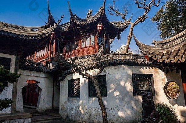 建筑树经典<strong>豫园</strong>万丽花园小镇上海中国