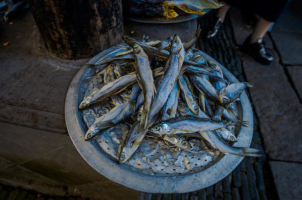 上海中国选择海食物鱼市场内部著名的周庄水小镇古老的<strong>城市</strong>区渠道建筑迷人的受欢迎的旅游区域