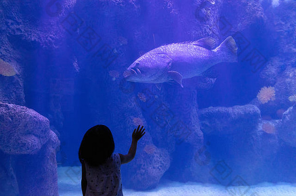 亚洲中国人女孩看鱼水族馆