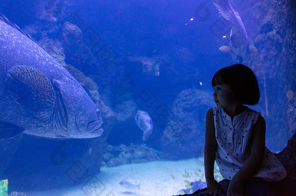 亚洲中国人女孩看鱼水族馆