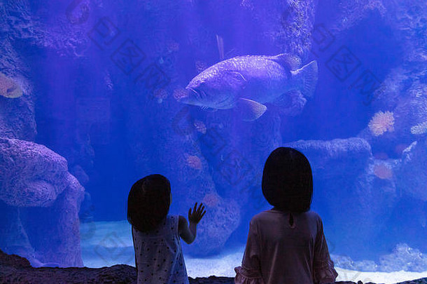 亚洲中国人姐妹看鱼水族馆