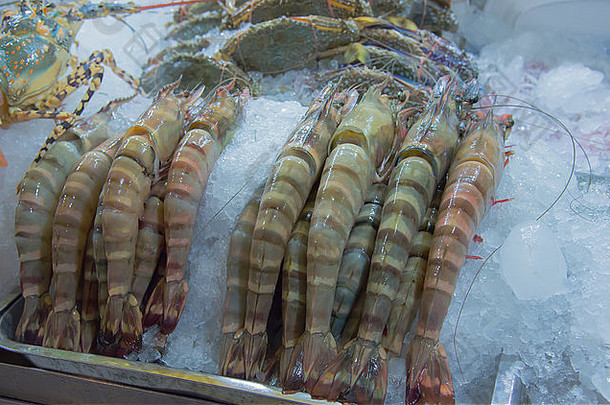 新鲜的海鲜安排显示市场泰国