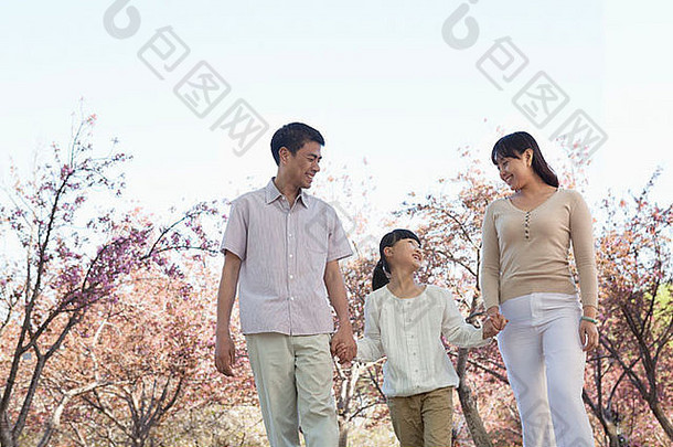 快乐家庭持有手采取走樱桃树公园春天北京