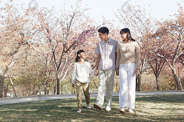 快乐家庭采取走樱桃树公园春天北京