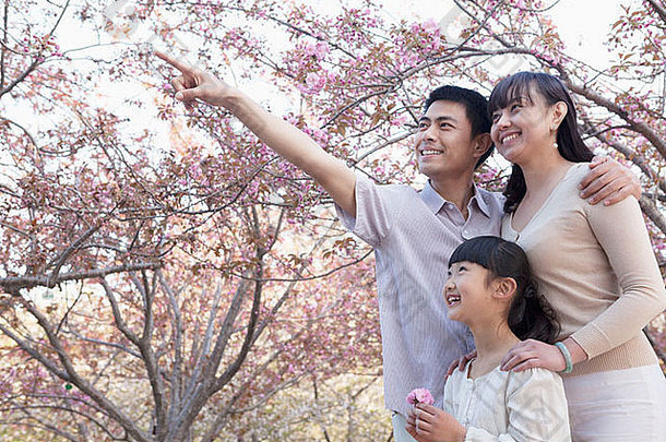 微笑家庭欣赏樱桃花朵公园春天北京