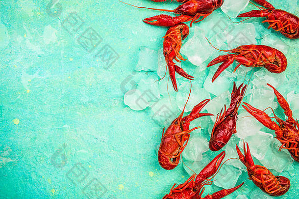 新鲜的红色的小龙虾冰前视图充满活力的颜色边境背景