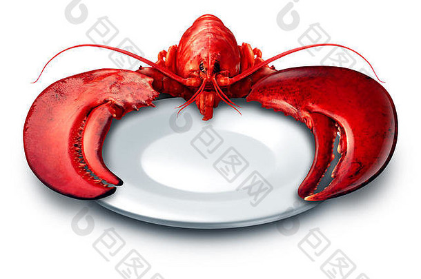 龙虾板晚餐白色背景新鲜的海鲜贝类食物空白菜奢侈品昂贵的餐概念完整的红色的