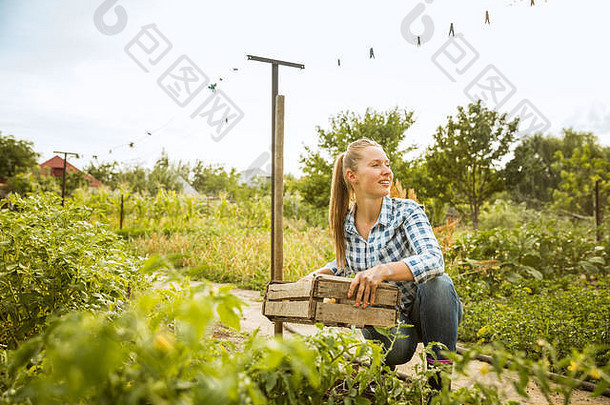 年轻的农民工作花园阳光明媚的一天女人订婚了培养生态友好的产品概念<strong>农业农业</strong>健康的生活方式收获自然营养