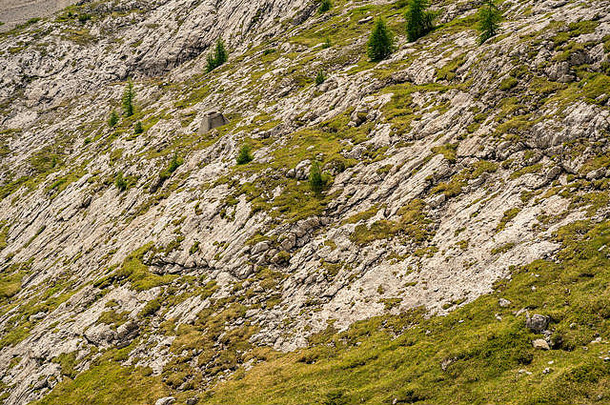 美丽的阿尔卑斯山脉绿色莫斯覆盖岩石山