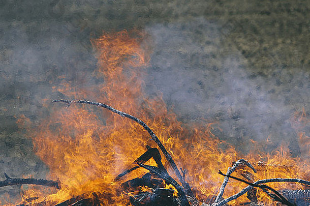 火焰烟不断上升的堆木燃烧激烈的场铂尔曼华盛顿美国