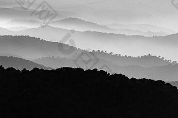 单色场景多雾的景观山层有雾的山雾黑色的白色