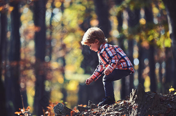 孩子玩秋天森林孩子新鲜的空气户外