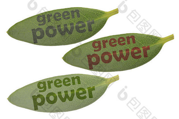 绿色叶子文本绿色权力颜色亮度