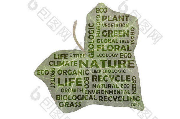 标签云主要关键字自然单词突出显示真正的图像艾薇叶自然代表主题自然