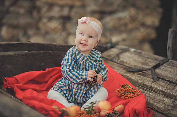 婴儿新生儿女孩蓝色的眼睛穿格子呢检查衣服衬衫粉红色的披肩大手帕摆姿势木风格复古的马车车滚动: