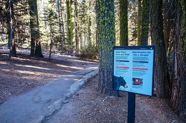 熊警告标志红杉资本国家公园