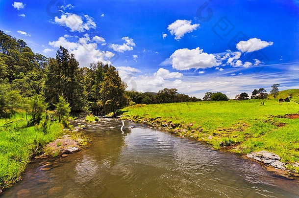 快流动水域山cobark河绿色长满草的字段梅多斯巴林顿上衣农业土地明亮的阳光明媚的一天