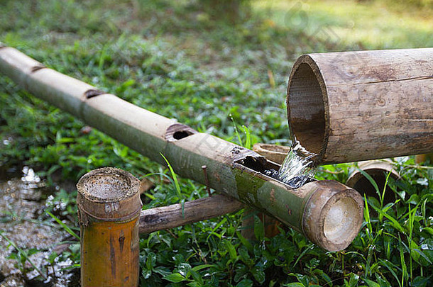 竹子生态浇水系统