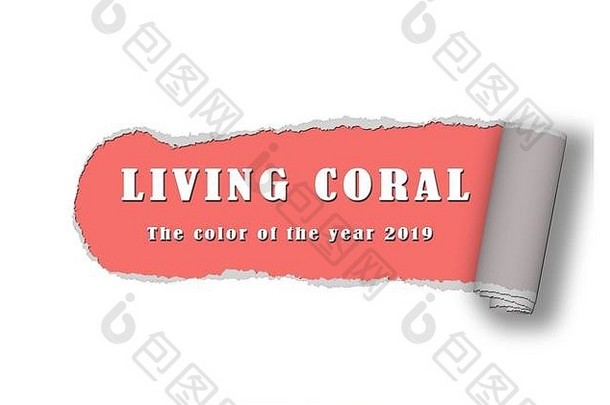 文本颜色一年生活珊瑚白色扯掉纸背景
