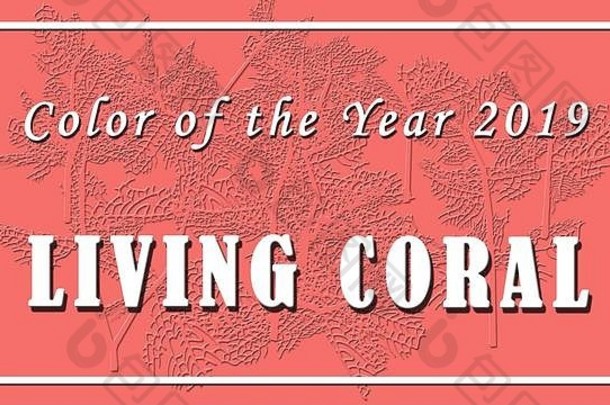 文本颜色一年生活珊瑚标志背景
