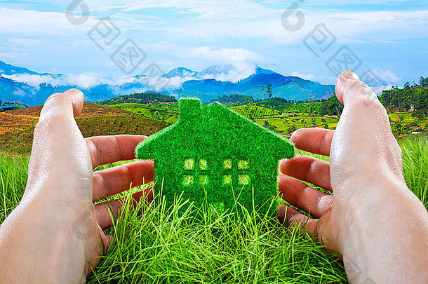 生态房子绿色草受保护的人类手蓝色的天空背景