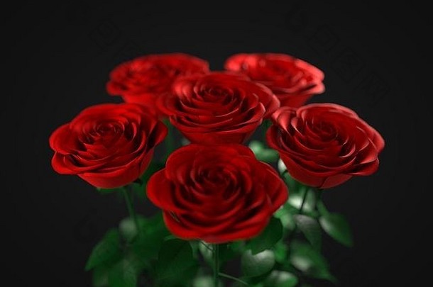 红色的玫瑰包黑暗背景合适的花爱情人节一天主题插图